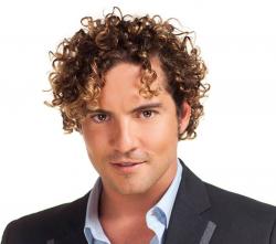 Biography David Bisbal