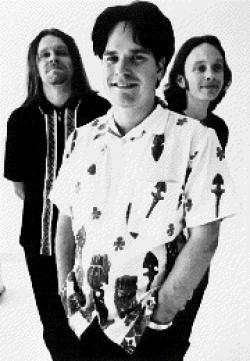 Biography Ammonia