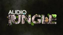 Biography AudioJungle