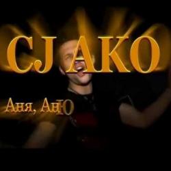 Biography CJ AKO