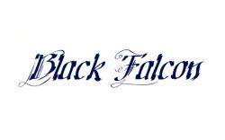 Biography Black Falcon