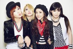 Biography 2NE1