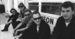 Biography Bodeans