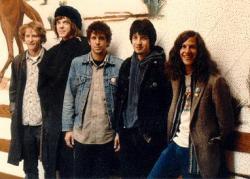 Biography Camper Van Beethoven
