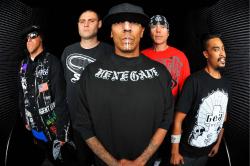 Biography Hed Pe