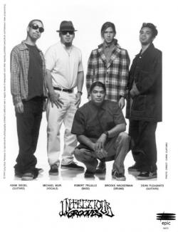 Biography Infectious Grooves