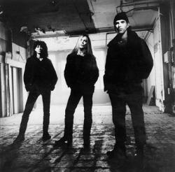 Biography New Model Army