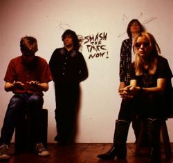 Biography Sonic Youth