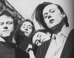 Biography Suede