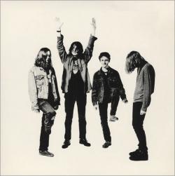 Biography Teenage Fanclub