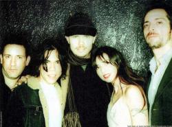 Biography Zwan