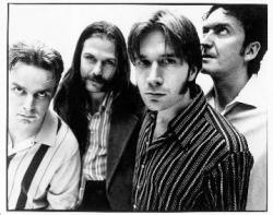 Biography Amitri Del