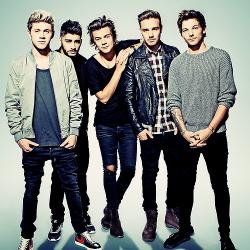 Biography One Direction